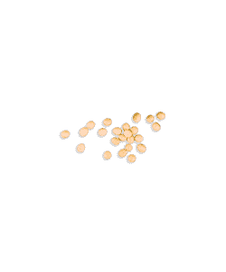 beans