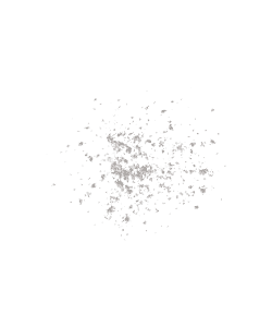 dust
